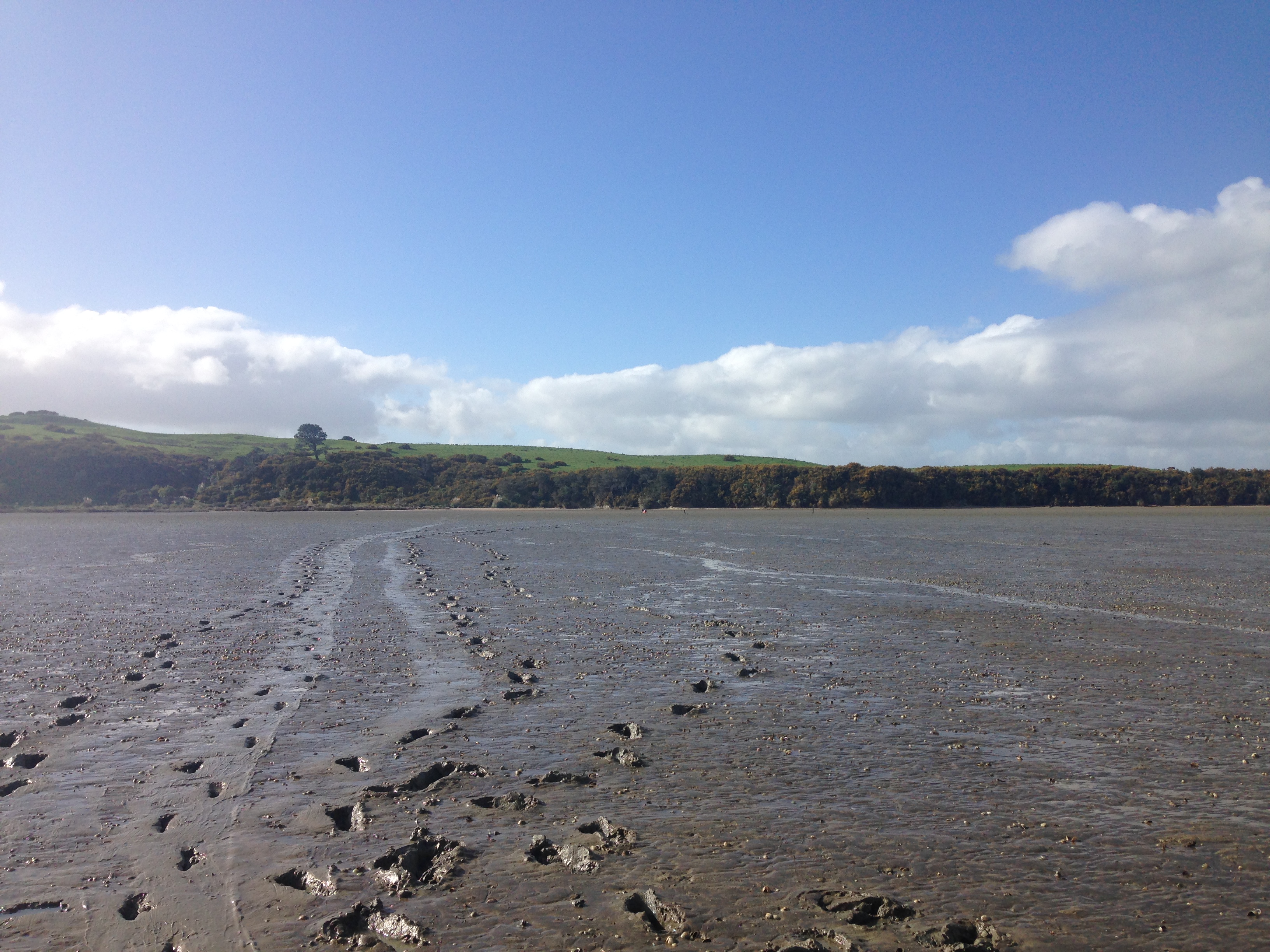 Image - Whāingaroa (Raglan) Harbour