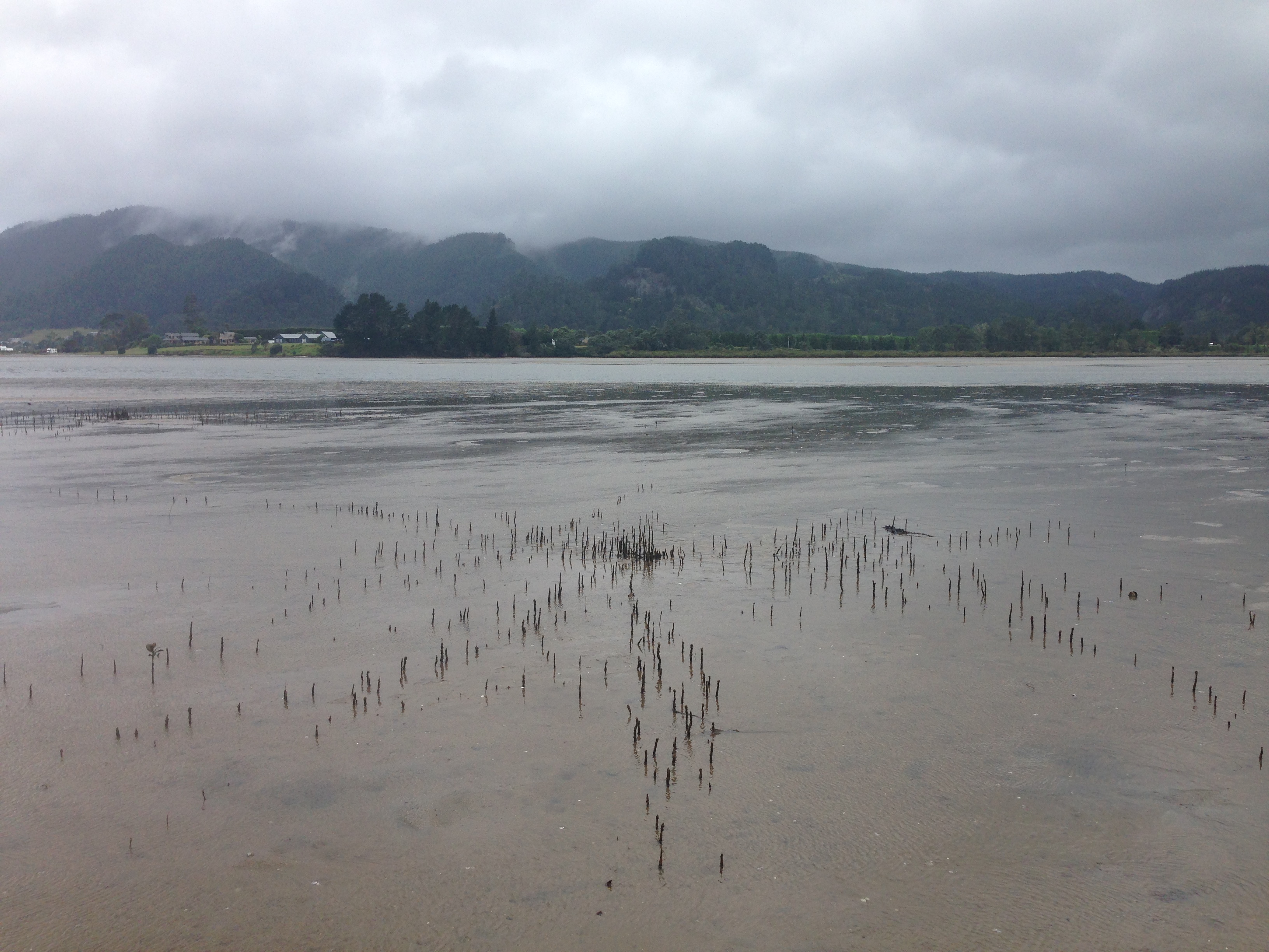 Image - Tairua Harbour